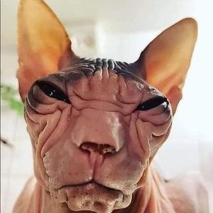 Meet your Posher, Danny